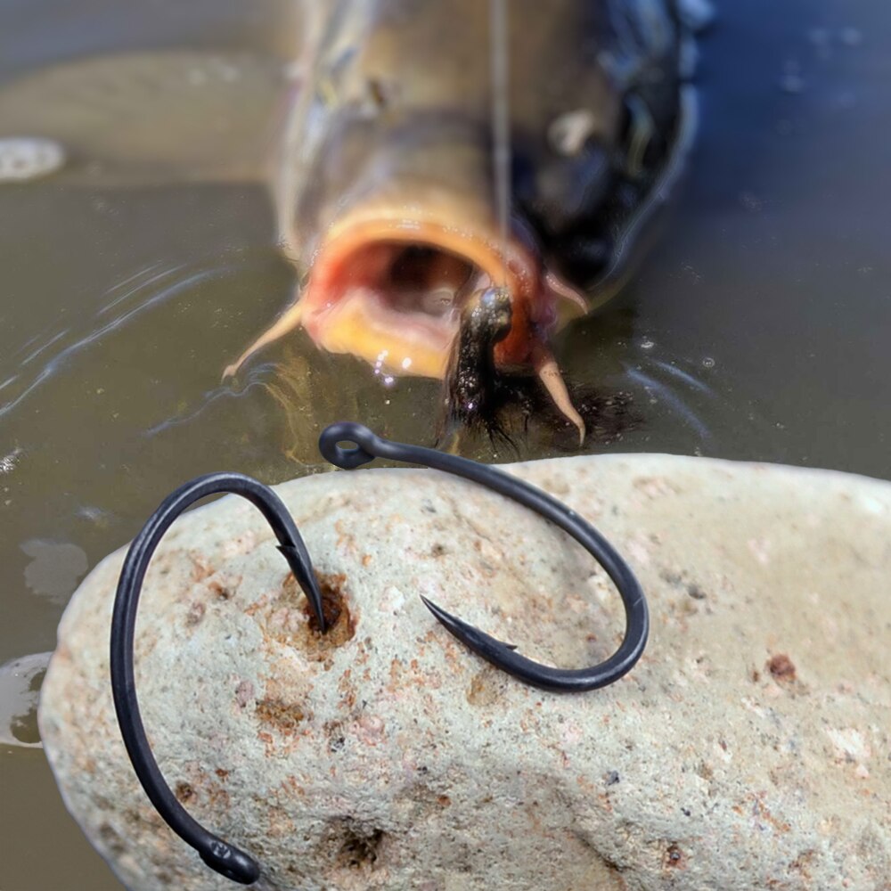 Hirisi Carp Fishing Hooks 50pc - đánh giá và giá Fishing Hook Circle
